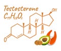 Testosterone with Food Label and Icon. Chemical Formula and Structure Logo. Vector Illustration