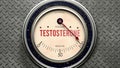 Testosterone that is hitting a full scale, showing a very high level of testosterone, overload of it, too much Royalty Free Stock Photo