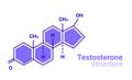 Testosterone hormone formula icon. Testosterone molecule structure male hormone formula