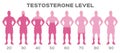 Testosterone hormone level / man