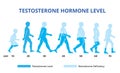 Testosterone hormone levels chart, vector