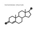 Testosterone icon. Chemical molecular structure. Steroid sex hormone sign isolated on white background. Replacement Royalty Free Stock Photo