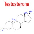 Testosterone male sex hormone. Androgen molecule skeletal formula. Chemical structure