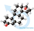 Testosterone molecule 2