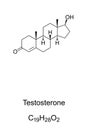 Testosterone. Skeletal and structural formula