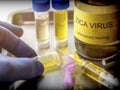 Tests For Research Of Zika Test, Image Conceptual Royalty Free Stock Photo