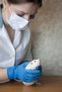 Tests of vaccines. Girl in a mask and medical gloves with a rat in