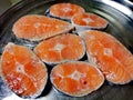 Testy salmon fish