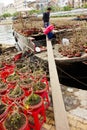 Tet flower market Royalty Free Stock Photo