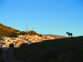 Tethered horse on barren hill above Andalusian village