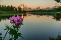 Teton backdrop Royalty Free Stock Photo