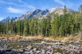 Teton landscape with lodgepole pines Royalty Free Stock Photo