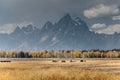 Teton mountains and horses autumn Royalty Free Stock Photo
