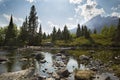 Teton Mountains and pine trees, Cottonwood Creek, Jackson Hole, Royalty Free Stock Photo