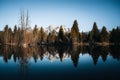 Teton Range reflected on beaver pond at Schwabacher Landing, Grand Teton National Park, Wyoming Royalty Free Stock Photo