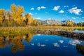 Teton Valley and Beaver Dam with fall trees Royalty Free Stock Photo