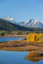 Tetons in fall at Oxbow Bend Royalty Free Stock Photo