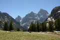 Tetons Loom Over White Wildflowers in Field Royalty Free Stock Photo