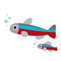 Tetra fish animal cartoon character vector illustration