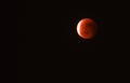 Tetrad Passover of Blood Moon Royalty Free Stock Photo