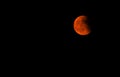 Tetrad Passover of Blood Moon Royalty Free Stock Photo