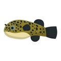 Tetradon fish aquarium water animal nature and vector underwater aquatic art. Tropical illustration fish with tail and fin.