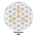 Tetrahedron Fire. Flower of life Black outline. Scared Geometry Vector Design Elements color.