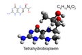 Chemical formula, structural formula and 3D ball-and-stick model of cofactor tetrahydrobiopterin Royalty Free Stock Photo