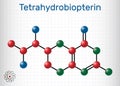 Tetrahydrobiopterin, BH4, THB, sapropterin molecule. It has role as coenzyme, diagnostic agent, human metabolite, cofactor. Sheet Royalty Free Stock Photo