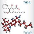 Tetrahydrocannabinolic acid, THCA, tetrahydrocannabinolate molecule. Precursor of tetrahydrocannabinol THC, active component