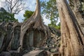 Ruins of Ta Prohm - Angkor Wat - Cambodia Royalty Free Stock Photo