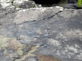 The Tetrapod Trackway in Valencia Island, IRELAND, which is comprises the fossilised footprints of a 385 million year old tetrapod