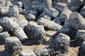 Tetrapods on the beach