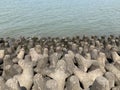 Tetrapods, coastal erosion prevention, Mumbai Skyline Royalty Free Stock Photo
