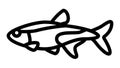 tetras aquarium fish line icon animation