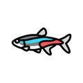tetras aquarium fish color icon vector illustration