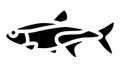 tetras aquarium fish glyph icon animation