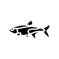 tetras aquarium fish glyph icon vector illustration