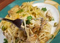 Tetrazzini is an American dish