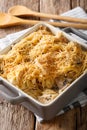 Tetrazzini from spaghetti, mushrooms, cheese, chicken and cream