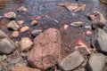 Tettegouche State Park on the North Shore of Lake Superior in Mi Royalty Free Stock Photo