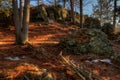 Tettegouche State Park on the North Shore of Lake Superior in Mi Royalty Free Stock Photo