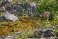 Tettegouche State Park on the North Shore of Lake Superior in Mi Royalty Free Stock Photo