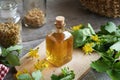 Tetterwort or greater celandine tincture in a glass bottle Royalty Free Stock Photo