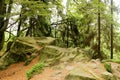 Teutoburg Forest in Horn-Bad Meinberg, Germany Royalty Free Stock Photo