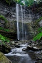 Tews Falls Royalty Free Stock Photo