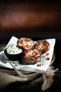 Tex-Mex Potato Skins Royalty Free Stock Photo