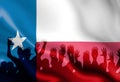 Texan flag
