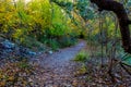 Texas Autumn Trail in the Woods. Royalty Free Stock Photo