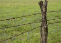 Texas Barbed Wire Fence with Old Wooden Post Royalty Free Stock Photo